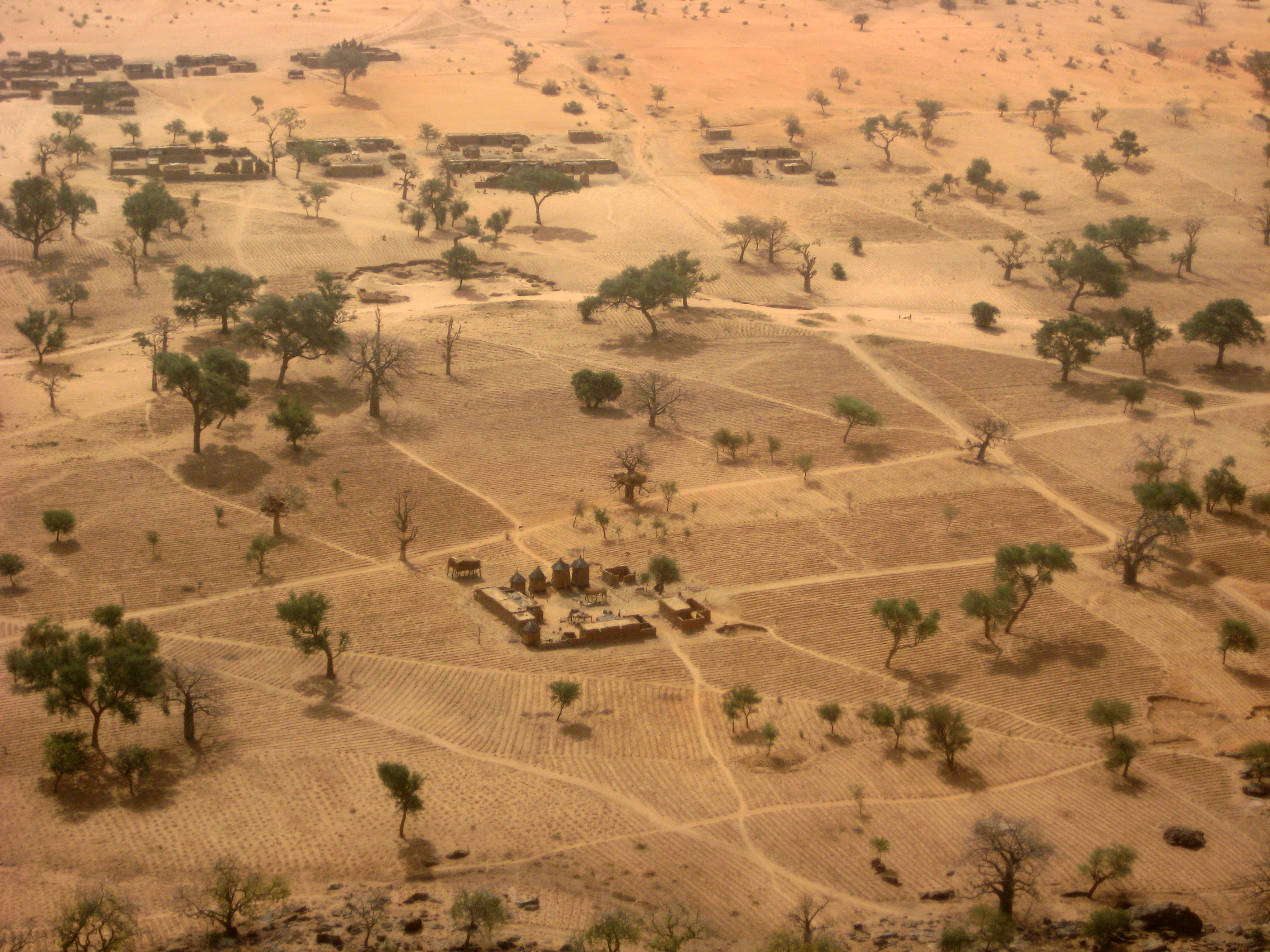 arid-farmland-settlement-mali