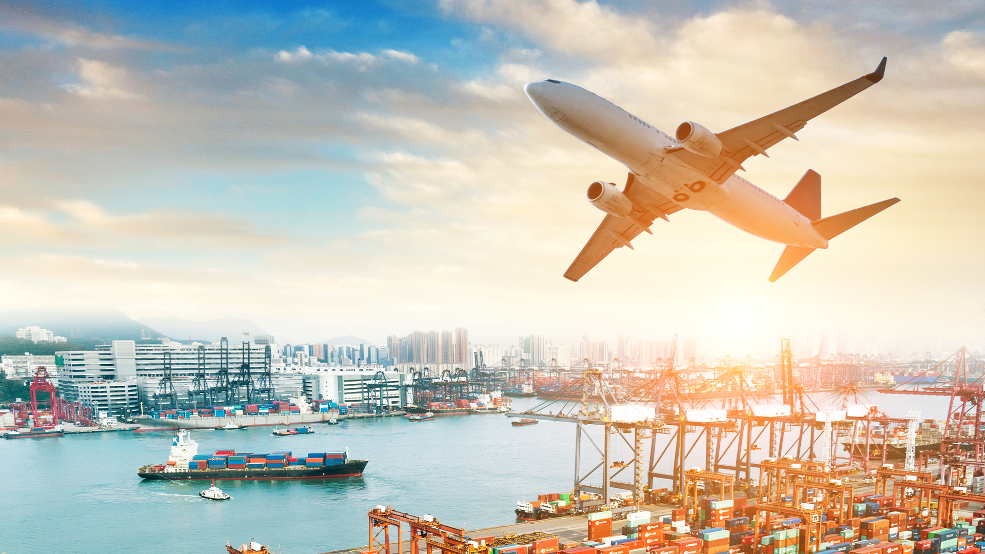 belglobe-rebrands-as-scan-global-logistics