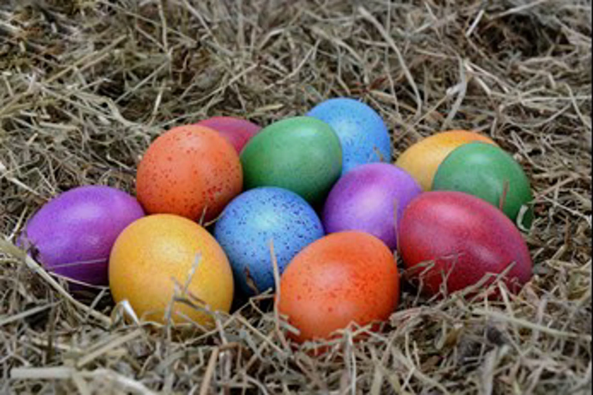 Easter eggs in a nest