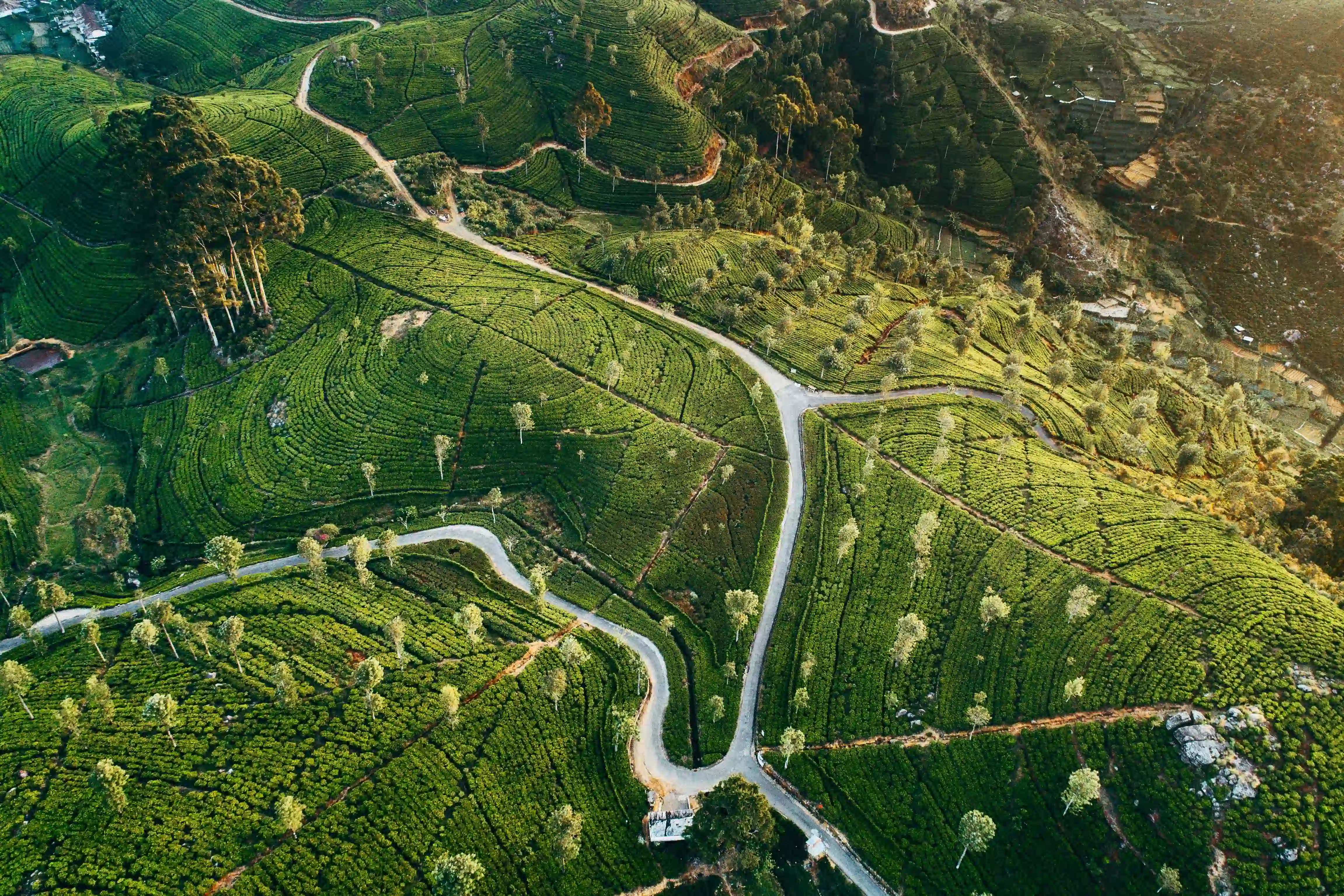 scan-global-logistics-dna-films-connected-journeys-landscape