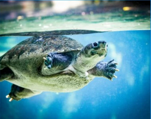 2026-02-20_13h51_06-1