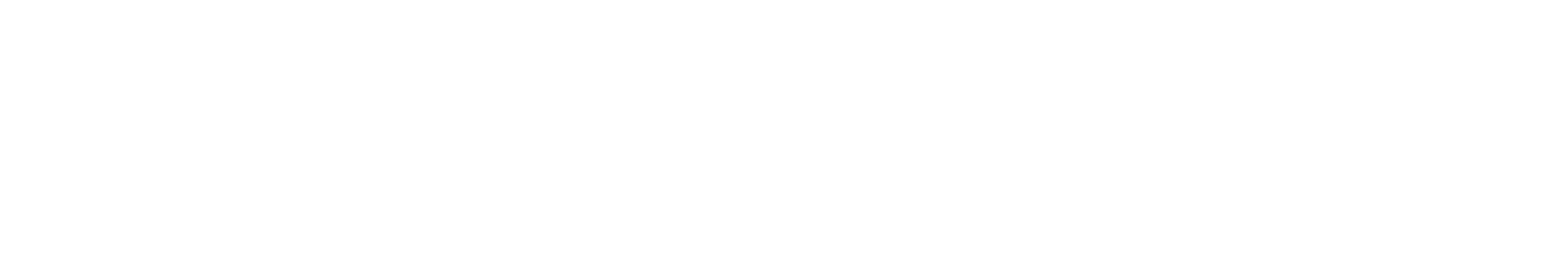 Scan Global Logistics white logo displayed on a light background